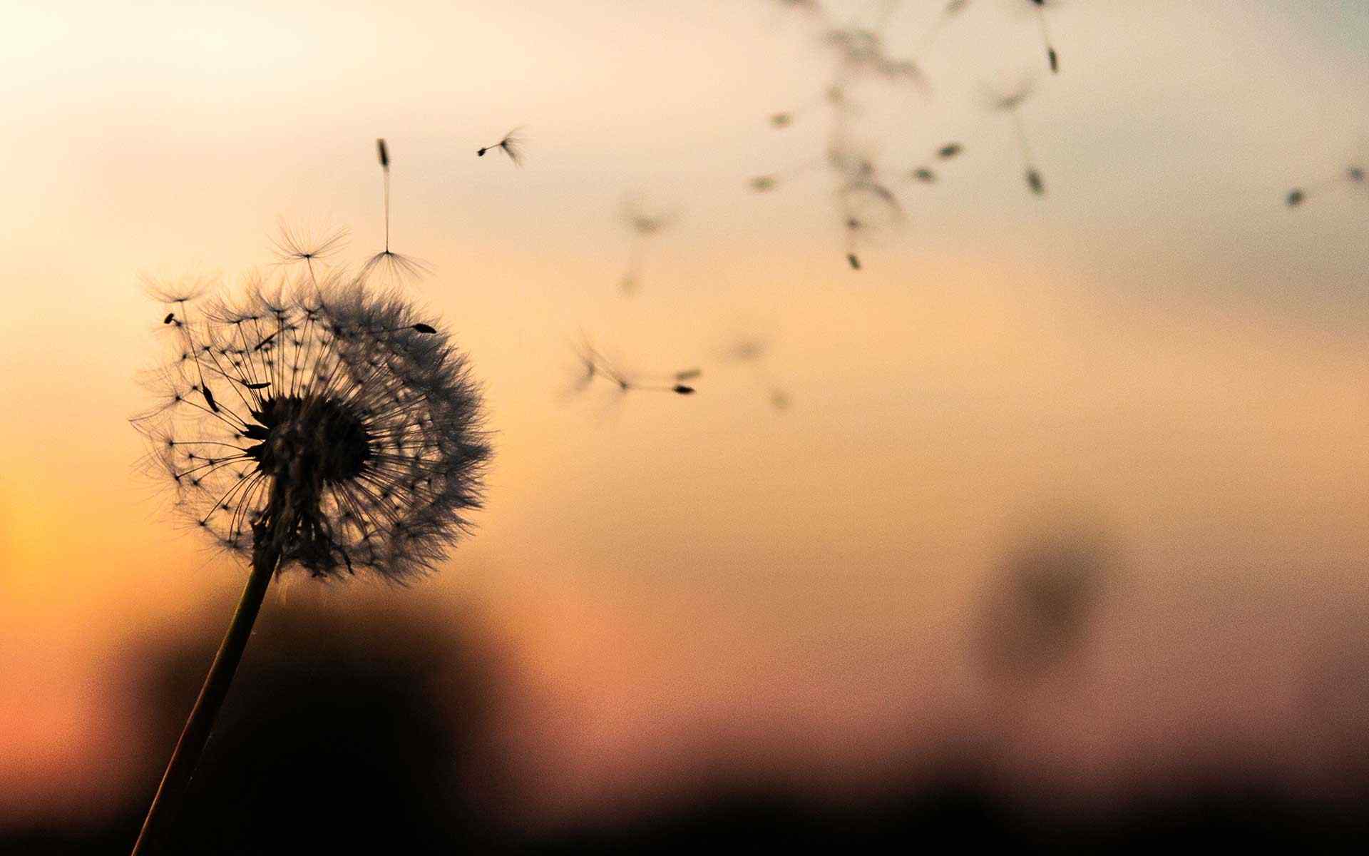 post_02 post_02